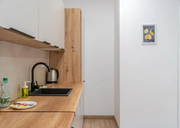 Słowackiego Serene By Bookinghost * Katowice